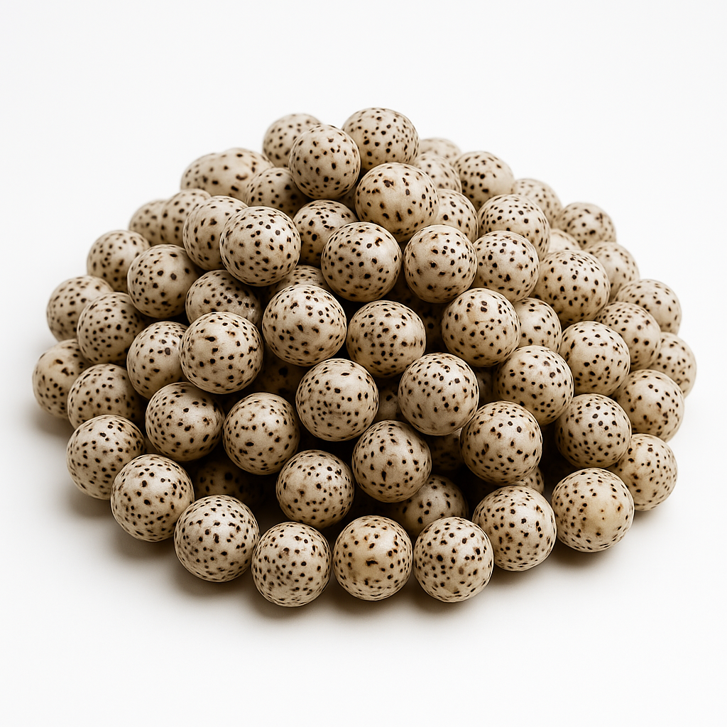 COLLARES · SEMILLAS DE BODHI