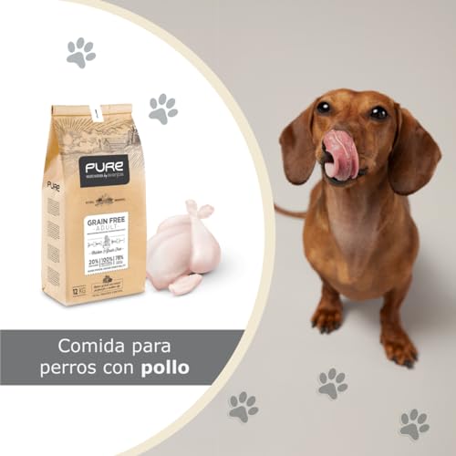 Avantis Pet Pure Grain Free Adult - Pienso para Perros Adultos de Todas Las Razas - 2 kg - Comida 100% Completa y Equilibrada - con Pollo y sin Cereales para Perros con Intolerancia y Alergia