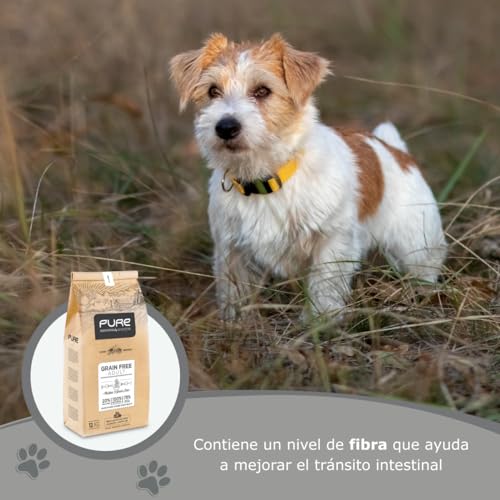 Avantis Pet Pure Grain Free Adult - Pienso para Perros Adultos de Todas Las Razas - 2 kg - Comida 100% Completa y Equilibrada - con Pollo y sin Cereales para Perros con Intolerancia y Alergia