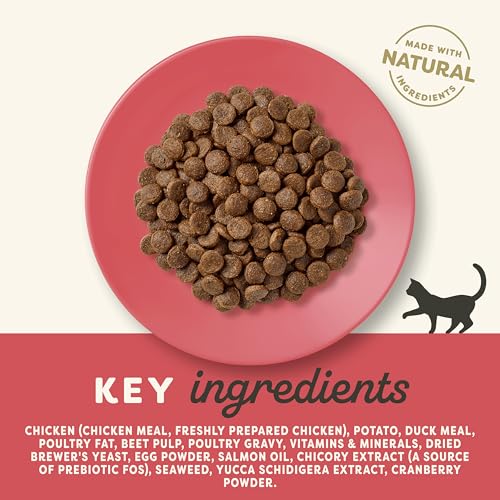 Applaws Alimento Seco Natural sin Granos para Gatitos, Pollo Natural - Bolsa Resellable de 2 kg