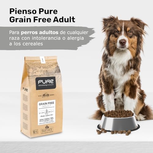 Avantis Pet Pure Grain Free Adult - Pienso para Perros Adultos de Todas Las Razas - 2 kg - Comida 100% Completa y Equilibrada - con Pollo y sin Cereales para Perros con Intolerancia y Alergia