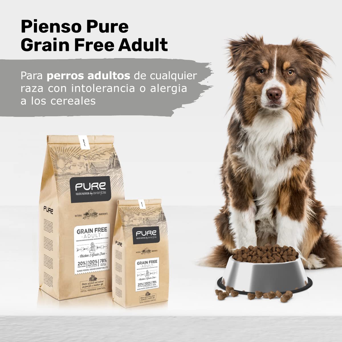 Avantis Pet Pure Grain Free Adult - Pienso para Perros Adultos de Todas Las Razas - 2 kg - Comida 100% Completa y Equilibrada - con Pollo y sin Cereales para Perros con Intolerancia y Alergia