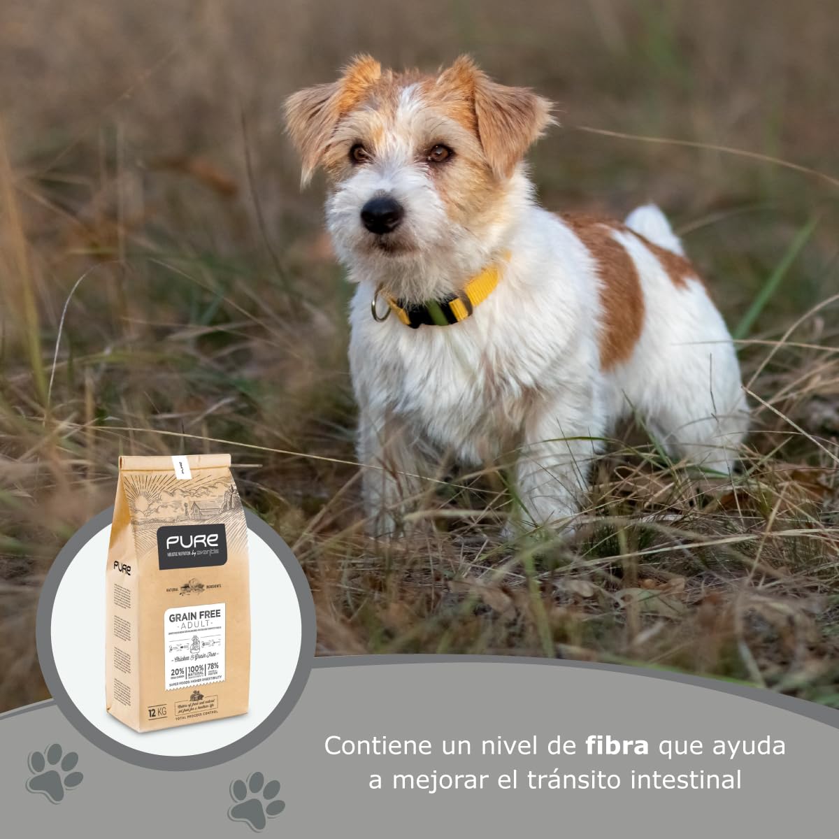 Avantis Pet Pure Grain Free Adult - Pienso para Perros Adultos de Todas Las Razas - 2 kg - Comida 100% Completa y Equilibrada - con Pollo y sin Cereales para Perros con Intolerancia y Alergia