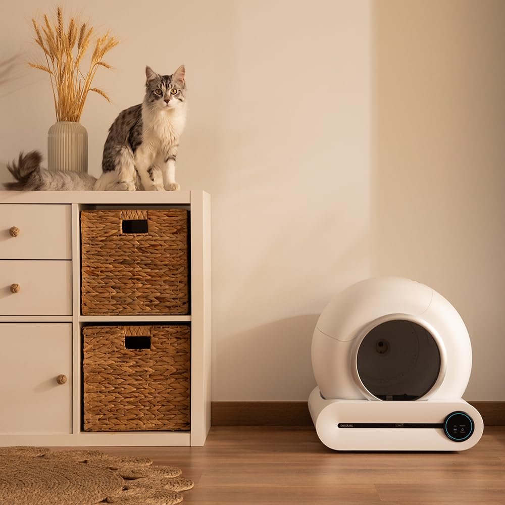 Cecotec Arenero Gatos Autolimpiable Pumba 8500 CleanKitty Smart. Triple Sistema de Desodorización, Control por WiFi y Pantalla, Silencioso y Seguro con Sensor de Infrarrojos, Cubo Interior 65L
