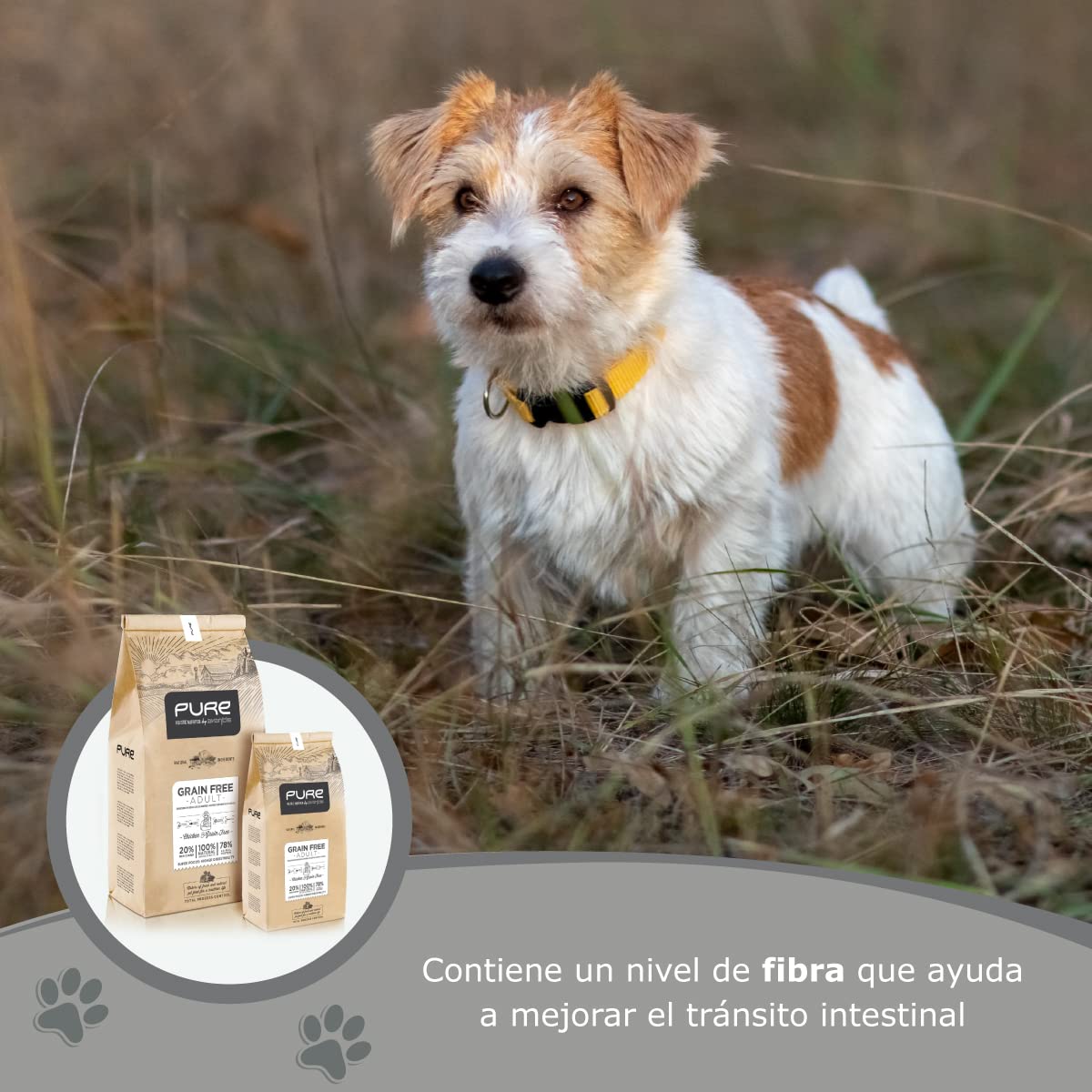 Avantis Pet Pure Grain Free Adult - Pienso para Perros Adultos de Todas Las Razas - 2 kg - Comida 100% Completa y Equilibrada - con Pollo y sin Cereales para Perros con Intolerancia y Alergia