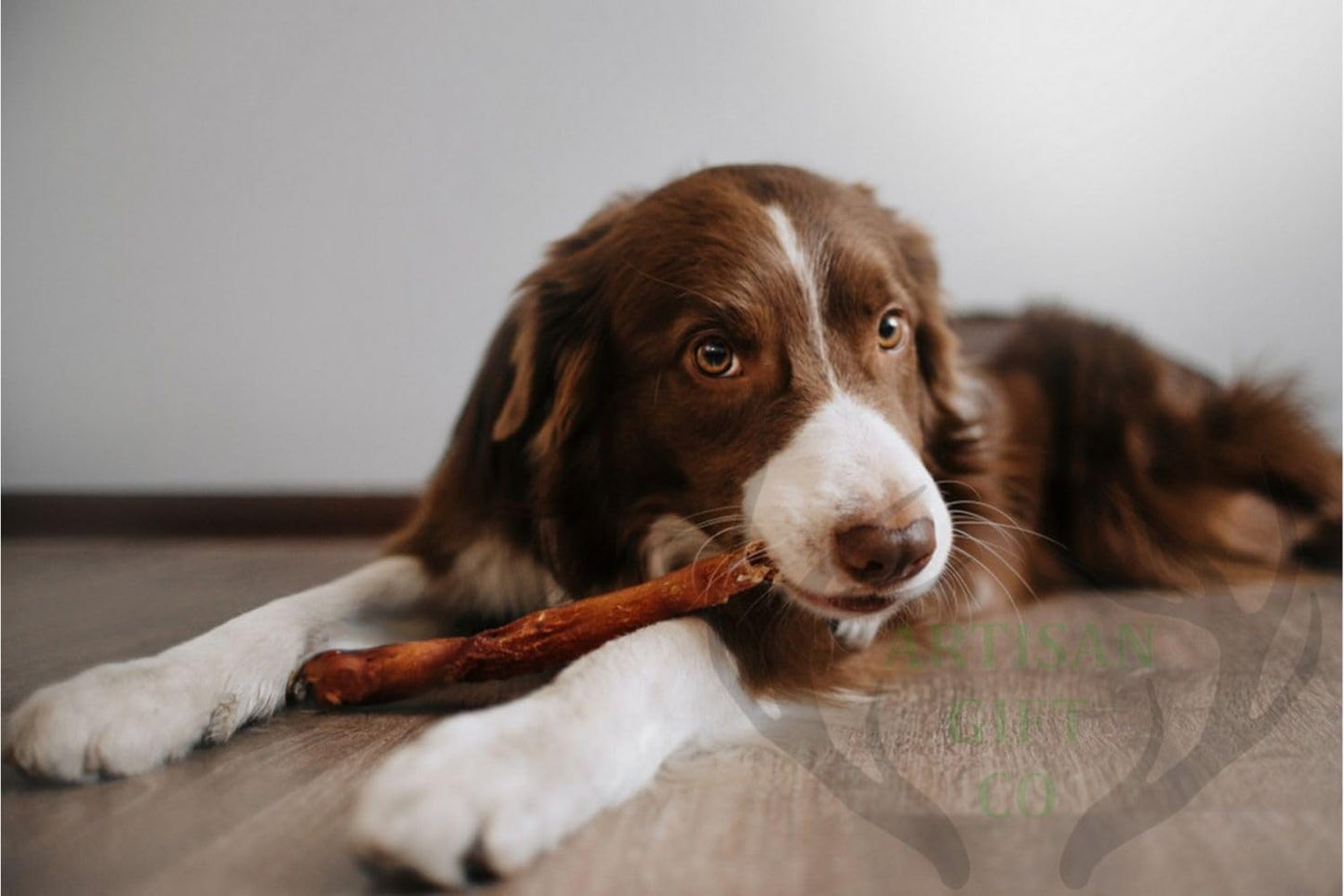 ARTISAN GIFT CO Nervio de Toro para Perros – Snack Natural Deshidratado, Apto para Dieta Barf (5 unds, Nervios de Toro 30 cm)