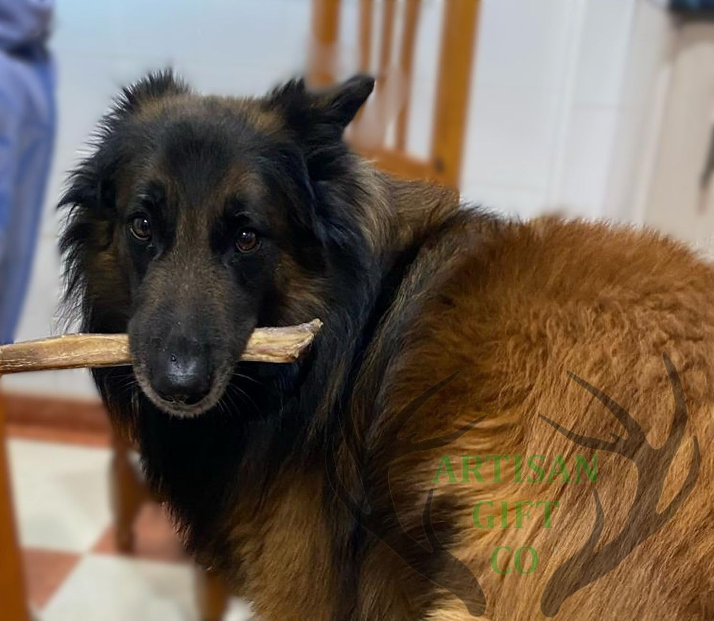 ARTISAN GIFT CO Nervio de Toro para Perros – Snack Natural Deshidratado, Apto para Dieta Barf (5 unds, Nervios de Toro 30 cm)