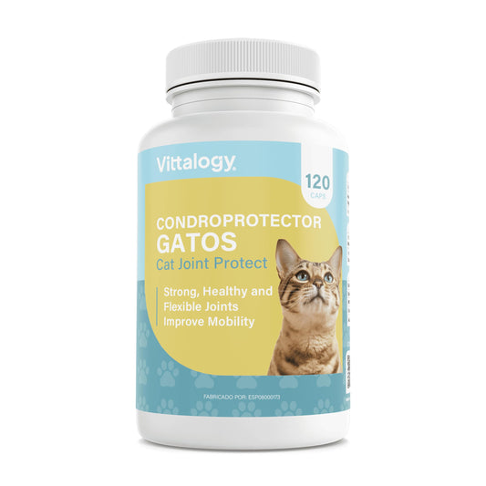 VITTALOGY Condroprotector para Gatos. Antiinflamatorio Natural con Colágeno, Condroitina, Hialurónico y Cúrcuma. Complemento Alimenticio para Caderas, Articulaciones y Cartílagos. 120 Cápsulas