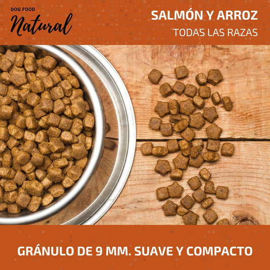 Natural Dog Food SALMÓN Y ARROZ, Pienso Natural para Perros Adultos Grandes y pequeños, Alimento Todas Las Razas, Pienso Premium, Alimento seco para Perros (4 KG.)