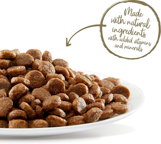 Applaws Natural Complete Dry Cat Food para gatos mayores, bolsa de 2 kg de sabor de pollo