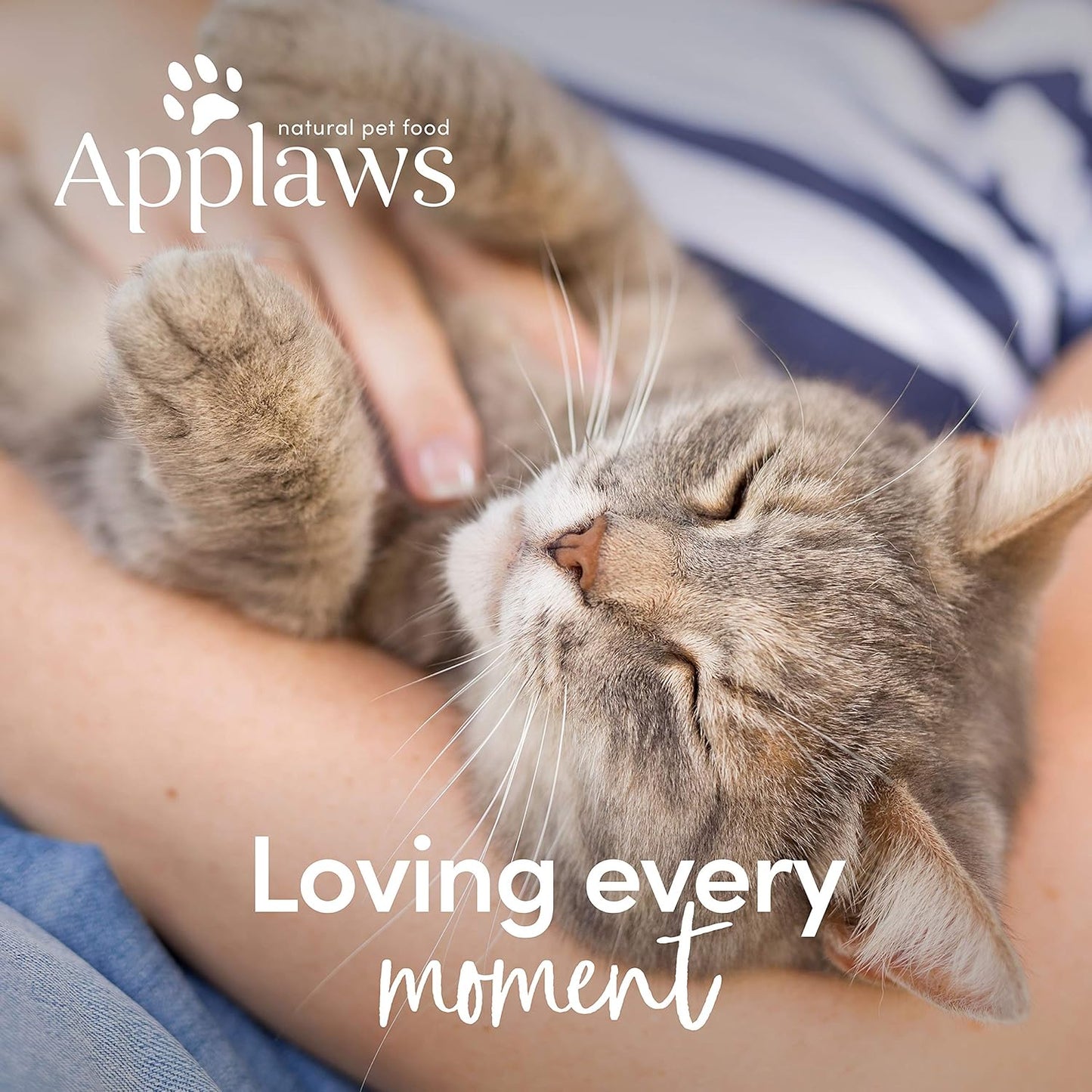 Applaws Natural Complete Dry Cat Food para gatos mayores, bolsa de 2 kg de sabor de pollo
