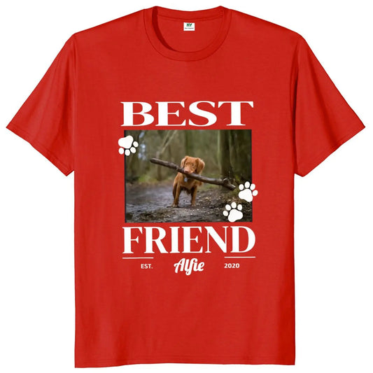 S0151d540bb5442a0a5fbd0a247a9b836G