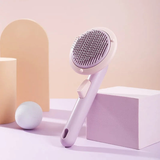 S47cc8c9af06646ea8cbd278a24e9604bJ