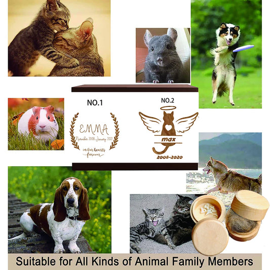 S9789bc87d1194e3ea4e7633f0315ea9fO