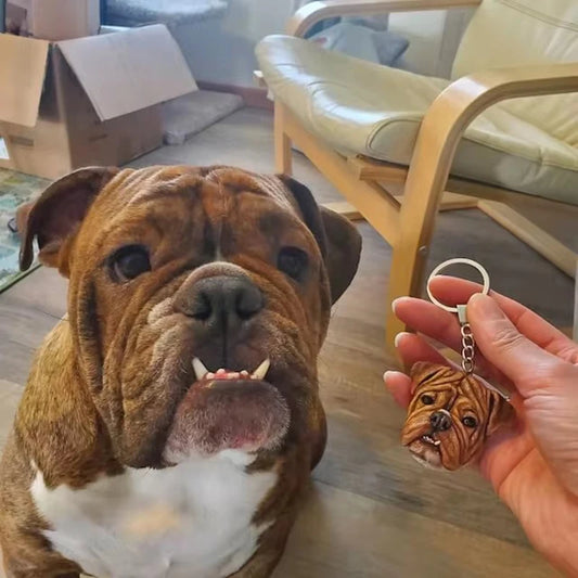 Sb32c4e97be604ce0adcd5aaa7edee94cB