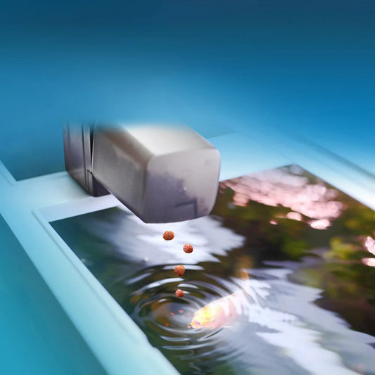 Sb9877bd0d0e44bdfbc5eecf68e90a9b6w