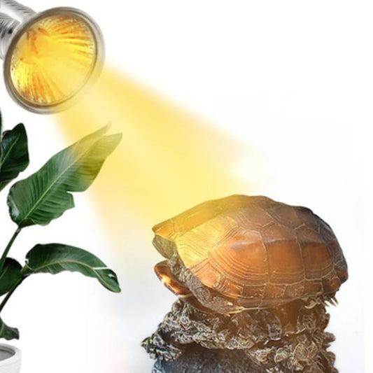 Sd5f520bcb88b42a49975ee89fe64aa1cF