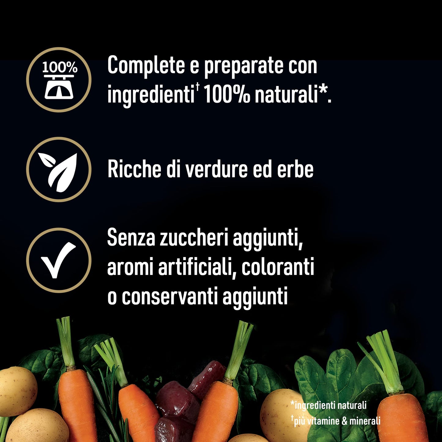 Cesar Natural Goodness - Comida húmeda para Perros con Sabor a Pollo y Verduras, 6 latas de 400 g, Total 2,4 kg
