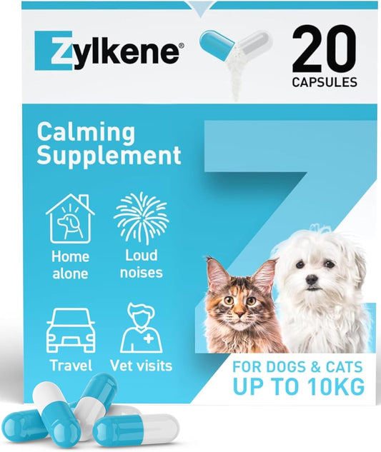 Zylkene Suplementos calmantes para gatos y perros de hasta 10 kg 75 mg | Ayuda a aliviar la ansiedad de las mascotas en situaciones difíciles | Se administra fácilmente | 20 cápsulas
