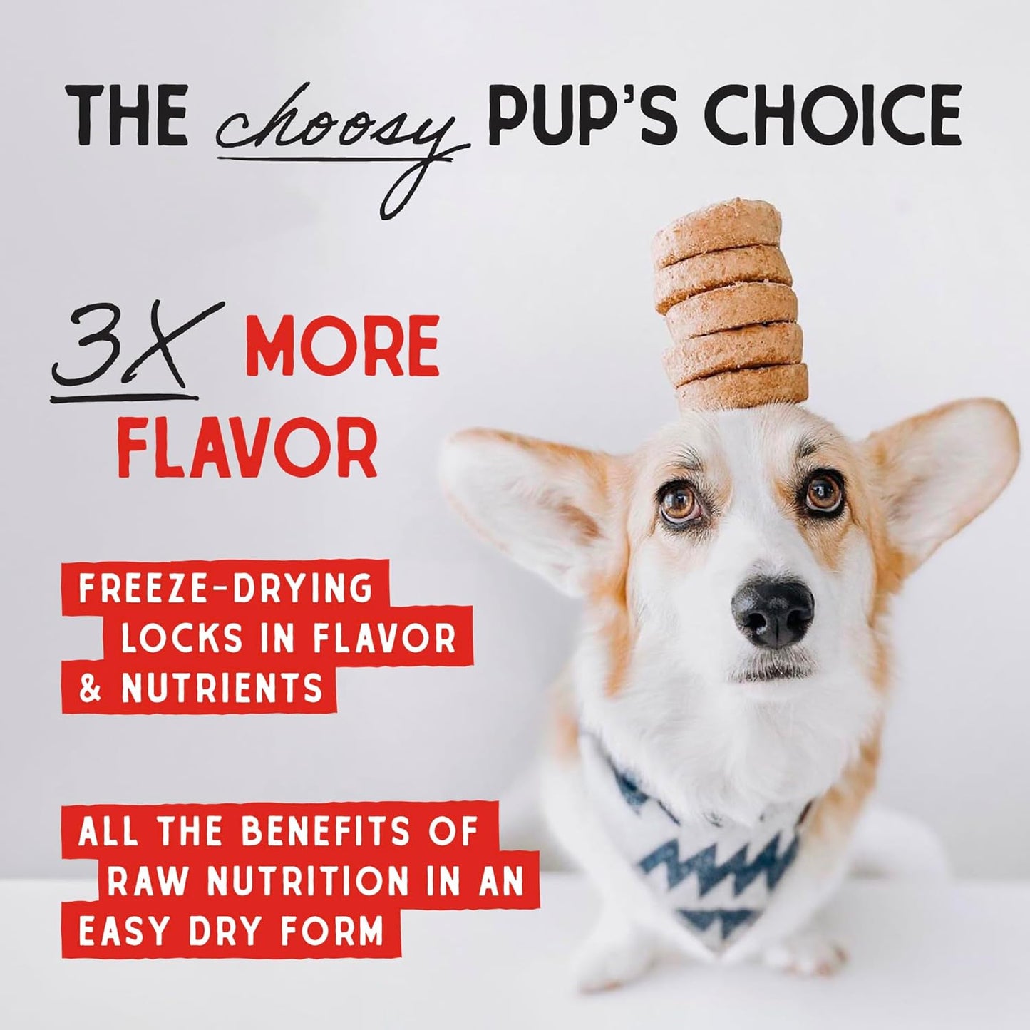 Stella and Chewy's Freeze-Dried Raw Surf'N Turf Dinner Patties for Dogs 25 Ounce