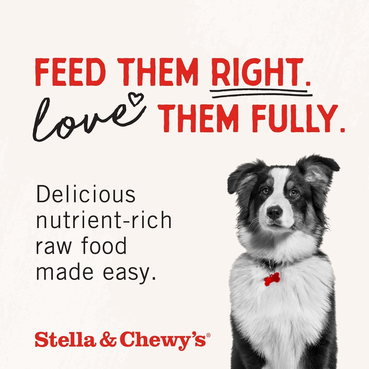 Stella and Chewy's Freeze-Dried Raw Surf'N Turf Dinner Patties for Dogs 25 Ounce
