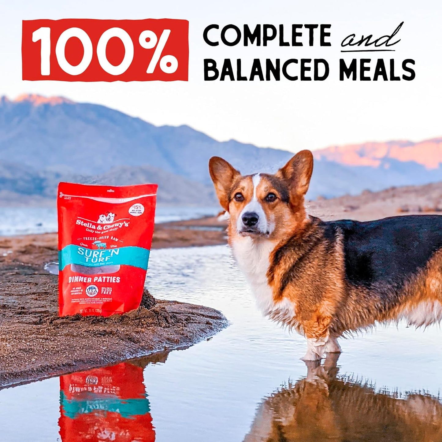 Stella and Chewy's Freeze-Dried Raw Surf'N Turf Dinner Patties for Dogs 25 Ounce