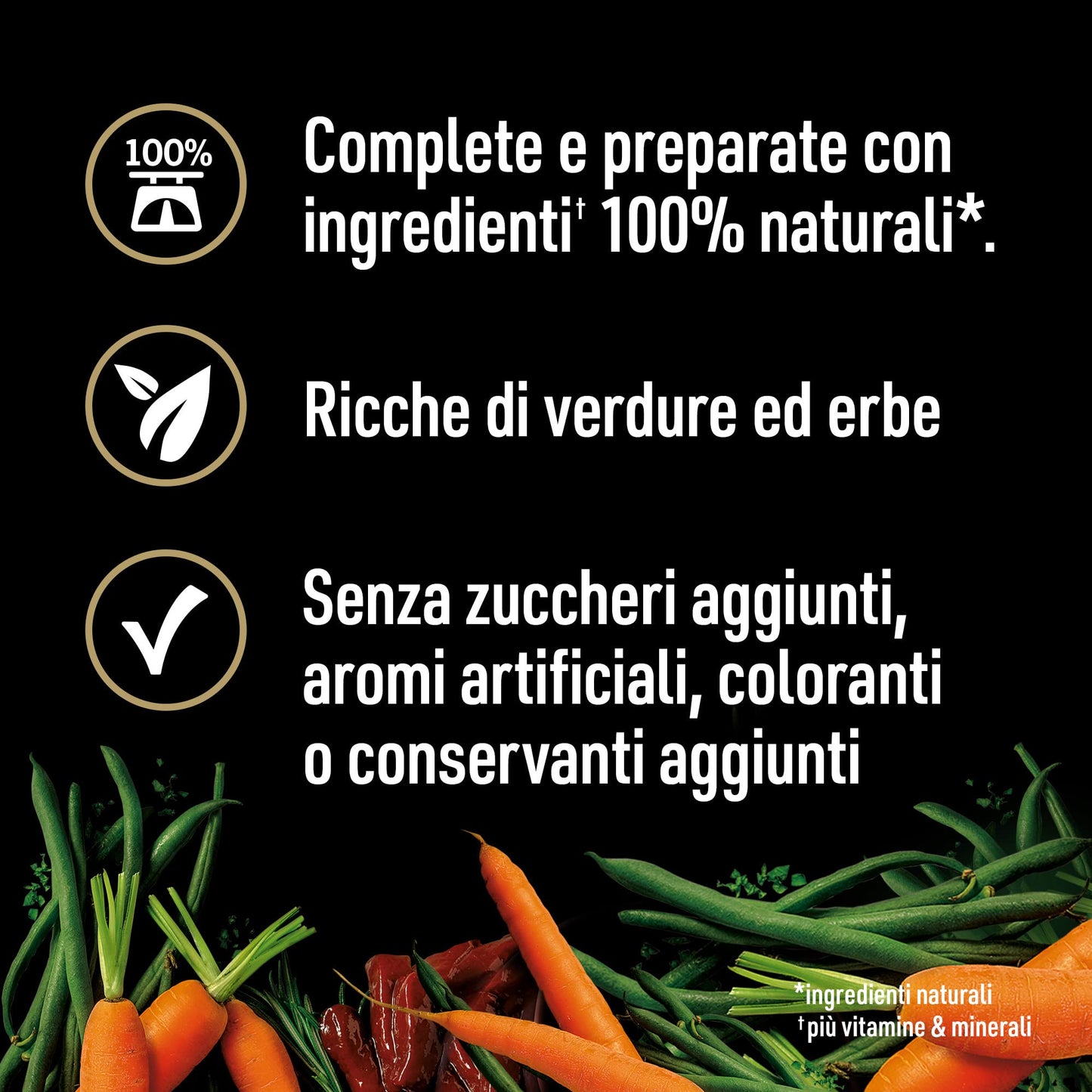 Cesar Natural Goodness - Comida húmeda para Perros con Sabor a Pollo y Verduras, 6 latas de 400 g, Total 2,4 kg