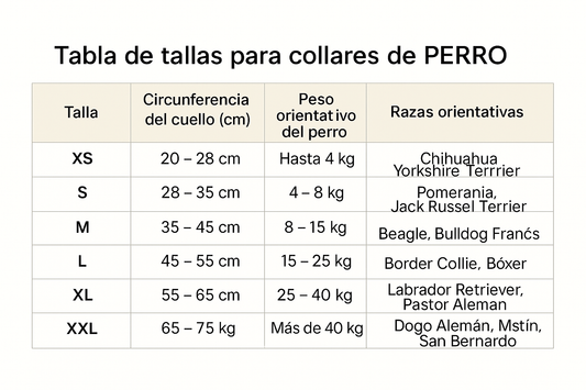 COLLAR PARA MASCOTA CON PIEDRAS SEMIPRECIOSAS Y CHAPA IDENTIFICATIVA ELECTRÓNICA